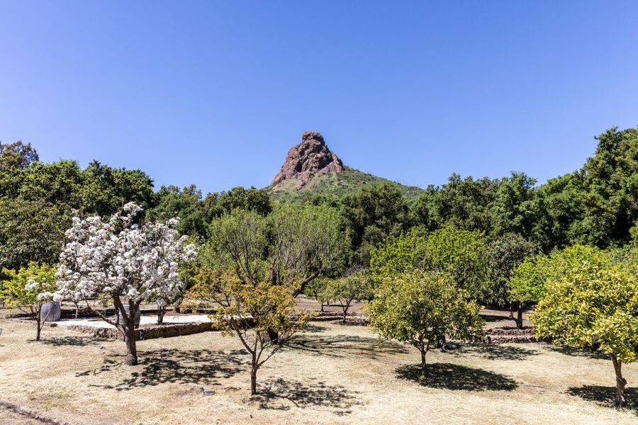 Malibu: Guided Vineyard Hike with Photo Stops and Wine - The Wine to-Go Finish: Two Cans and a Realistic Plan