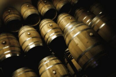Mallorca: Bodega Butxet Vineyards & Winery Tour with Tasting - The 2-hour rhythm: from vineyard stroll to tasting table