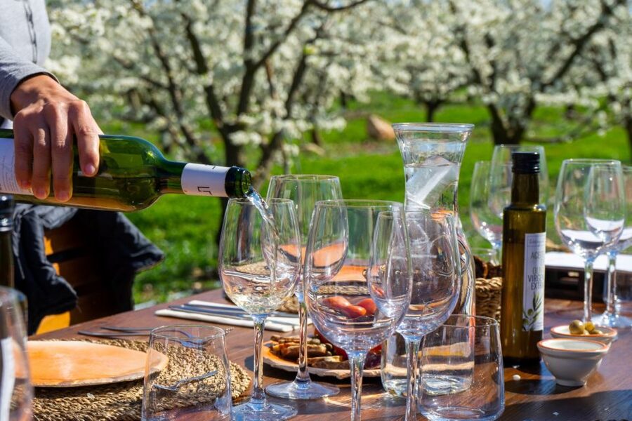 Mallorca: Full-Day Winery Small Group Tour - Key Things to Know Before You Go