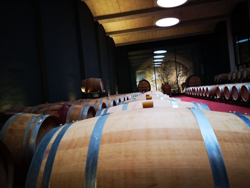 Mallorca: Full-Day Winery Small Group Tour - How the 8-Hour Route Works Across 3 Vineyards