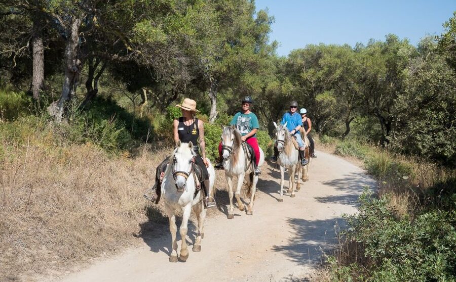 Mallorca: Horseback Riding Excursion and Wine Tasting - Quick hits before you go