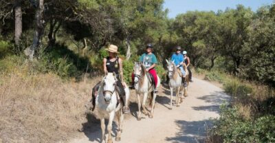 Mallorca: Horseback Riding Excursion and Wine Tasting - The 1-hour horseback hack: pace, safety, and how they match riders