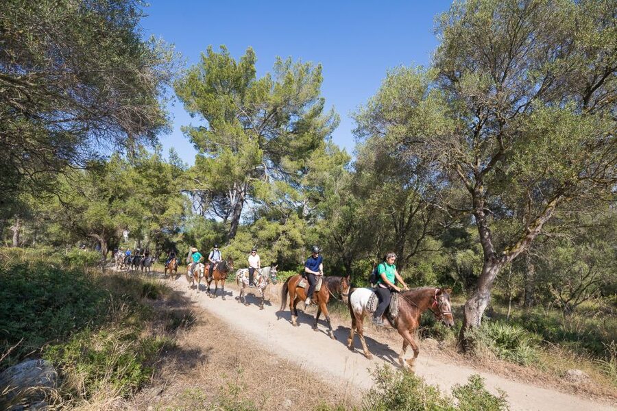 Mallorca: Horseback Riding Excursion and Wine Tasting - Local products you actually care about: oil, jam, pate, and dips