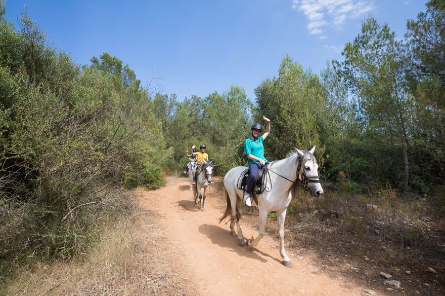 Mallorca: Horseback Riding Excursion and Wine Tasting - Pickup, meeting point, and timing: how to avoid wasting vacation hours