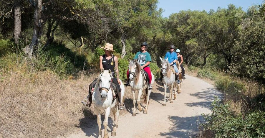 Mallorca: Horseback Riding Excursion and Wine Tasting - The 1-hour horseback hack: pace, safety, and how they match riders