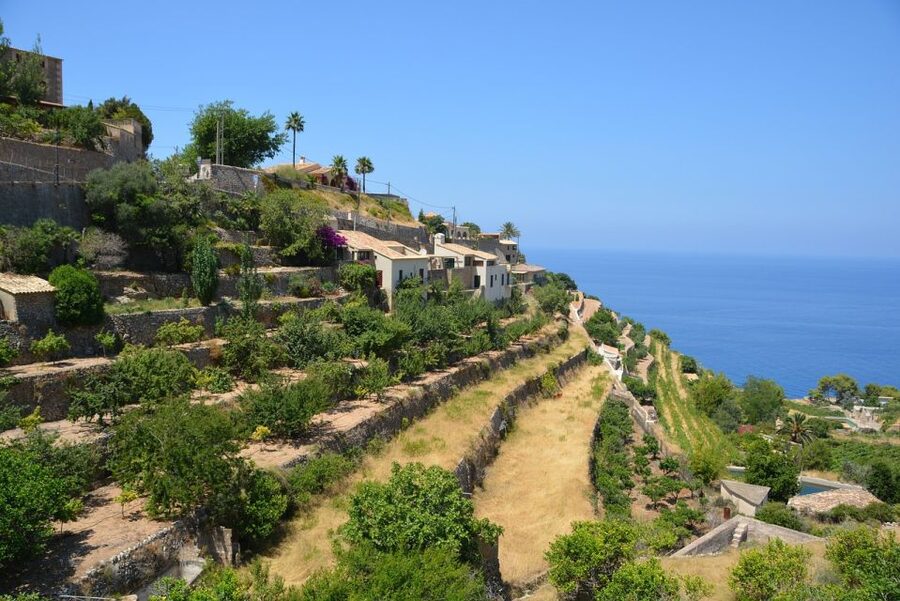 Mallorca: Premium Wine Experience, Tasting and Fine Foods - Key highlights to look for