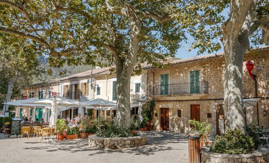 Mallorca: Premium Wine Experience, Tasting and Fine Foods - The winery tour: from vine-to-bottle talk to barrel cellar moments