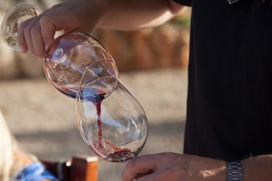 Mallorca: Private Wine Tour with Tasting and Picnic - The Wine Tasting + Tapas Combo (This Is the Point)