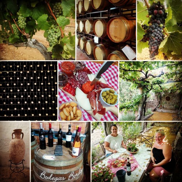 Mallorca: Private Wine Tour with Tasting and Picnic - Group Size, Languages, and Timing That Matter in Real Life