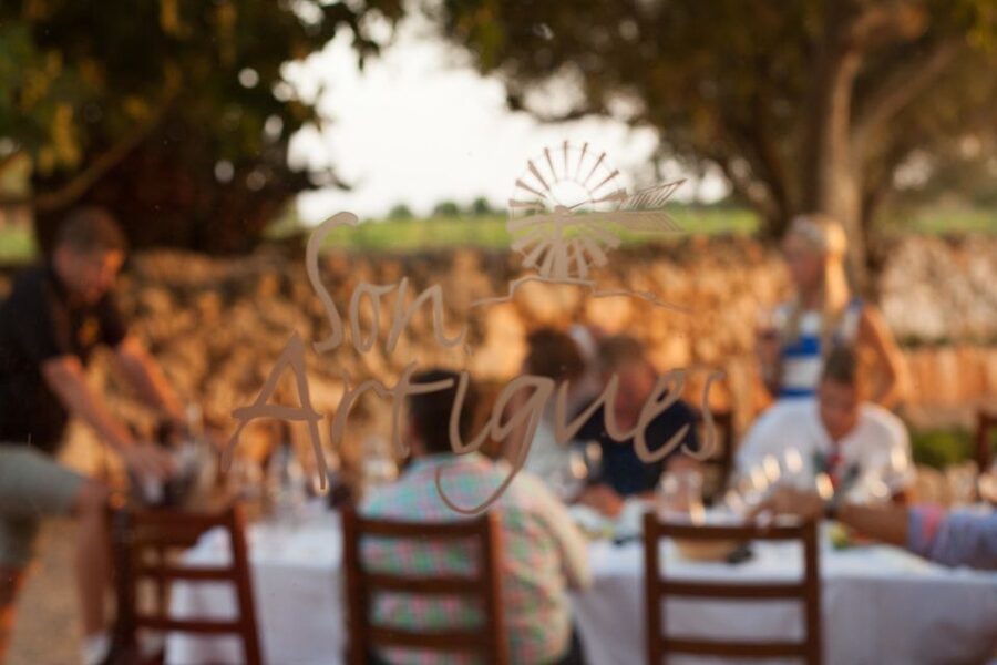Mallorca: Private Wine Tour with Tasting and Picnic - Who Should Book This Wine + Tapas Vineyard Tour