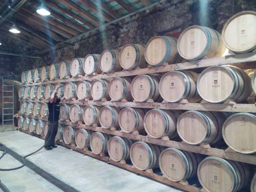 Mallorca: Private Wine Tour with Tasting and Picnic - Should You Book the Mallorca Private Wine Tour?