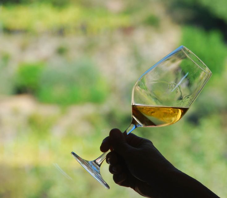 Manarola: Cinque Terre Wine Tasting - Where this Manarola wine tasting fits in Cinque Terre