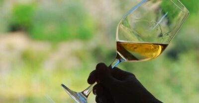 Manarola: Cinque Terre Wine Tasting - Meeting at La Cantina Zio Bramante and stepping into the cellar