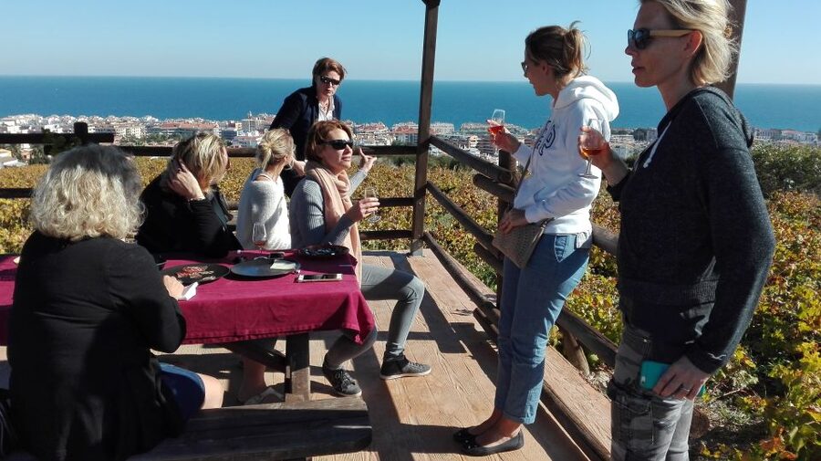 Manilva: Nilva Vineyard, Wine Tasting & Tapas Guided Tour - Key highlights you will remember