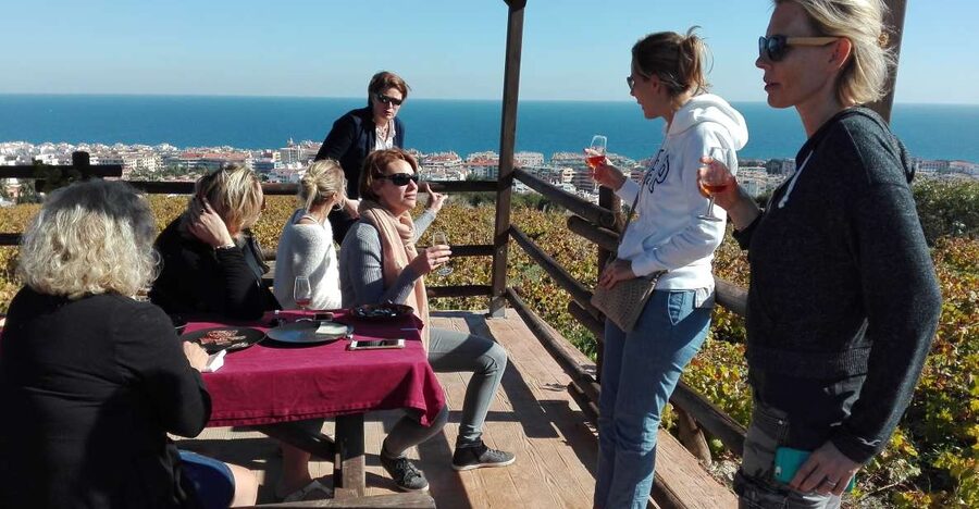 Manilva: Nilva Vineyard, Wine Tasting & Tapas Guided Tour - Nilva Winery Stop: Garage-Scale Winemaking That Feels Human
