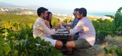 Manilva: Nilva Vineyard, Wine Tasting & Tapas Guided Tour - Civima Wine Museum: A Short, Clear Start in Viticulture and Oenology