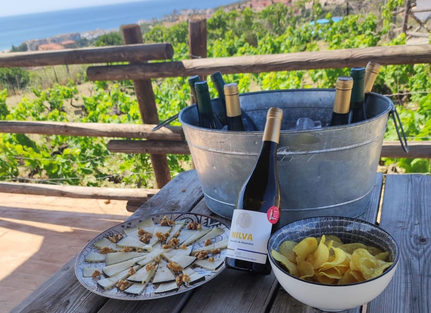 Manilva: Nilva Vineyard, Wine Tasting & Tapas Guided Tour - Should You Book Nilva Wine Tasting & Tapas Guided Tour?