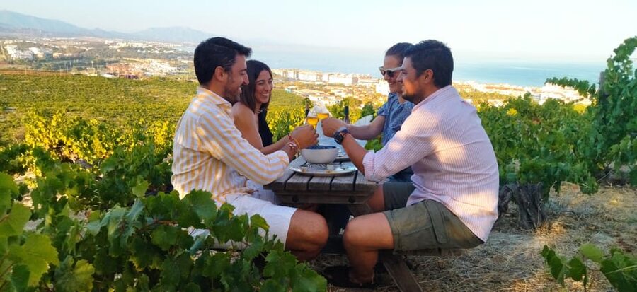 Manilva: Nilva Vineyard, Wine Tasting & Tapas Guided Tour - Civima Wine Museum: A Short, Clear Start in Viticulture and Oenology