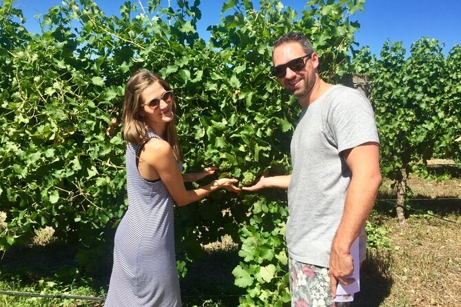 Margaret River Beer & Wine Adventure (departs Dunsborough/Busselton) - Dietary needs and practical timing tips for your day