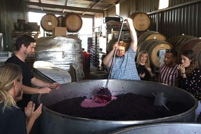 Margaret River Beer & Wine Adventure (departs Margaret River) - Key things to know before you go