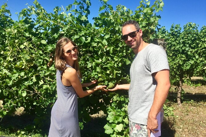Margaret River Beer & Wine Adventure (departs Margaret River) - Wine blending: the hands-on part that changes everything