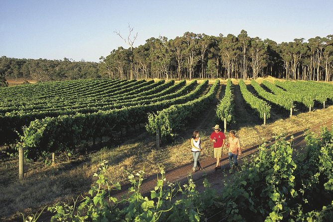 Margaret River, Caves, Wine and Cape Leeuwin Lighthouse Tour from Perth - The Perth-to-Margaret River format: fast, focused, and a bit of a marathon