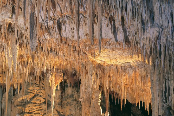 Margaret River, Caves, Wine and Cape Leeuwin Lighthouse Tour from Perth - Getting going: pickup, timing, and how to survive the long coach day
