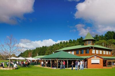 Margaret River, Caves, Wine and Cape Leeuwin Lighthouse Tour from Perth - Price and value: what you get for $179.31