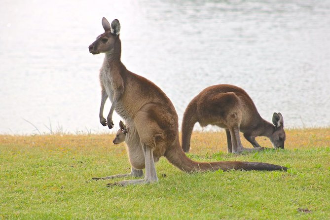 Margaret River Wine and Sights Discovery Tour from Busselton or Dunsborough - Comfort, timing, and what to pack for a sweaty (or blustery) afternoon