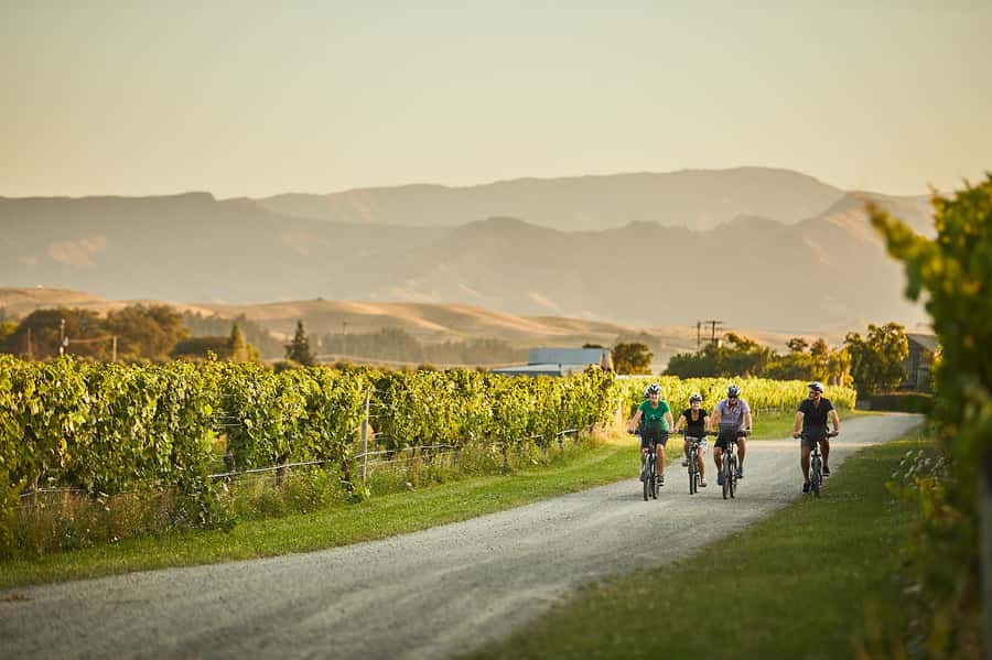 Marlborough: Full-Day Self-Guided Biking Wine Tour - A Flat, Self-Guided Wine Day Around Blenheim and Renwick