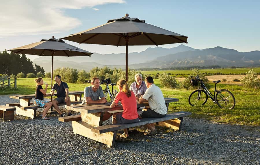 Marlborough: Full-Day Self-Guided Biking Wine Tour - Before You Ride: Café Timing, Route Setup, and Tasting-Plan Basics