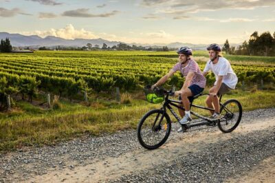 Marlborough: Full-Day Self-Guided Biking Wine Tour - What You Get in the Box: Bike, Helmet, Lock, and a Real Wine Map