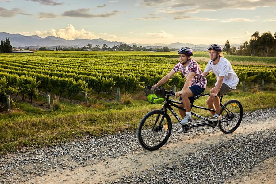 Marlborough: Full-Day Self-Guided Biking Wine Tour - What You Get in the Box: Bike, Helmet, Lock, and a Real Wine Map