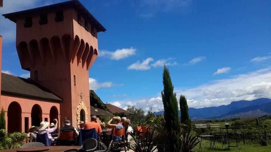 Marlborough Full Day Wine Tour - Lunch at a vineyard restaurant you pay for