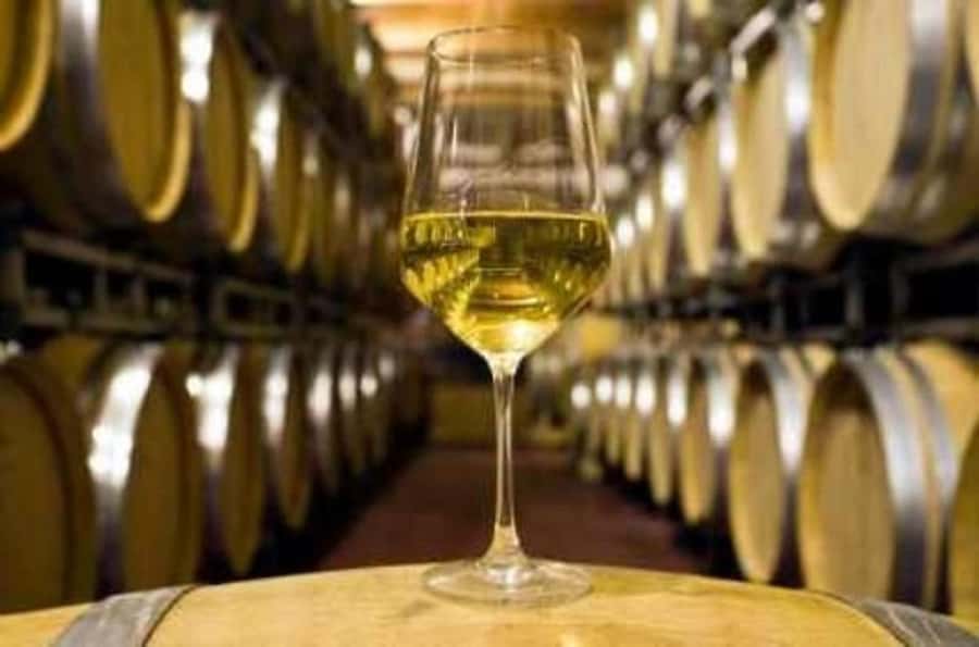 Marlborough Full Day Wine Tour - Price and value: is $131 a smart deal?