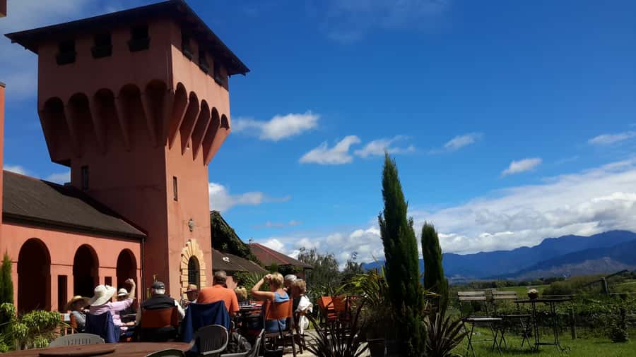 Marlborough Full Day Wine Tour - Who should book this Marlborough tour—and who should skip it