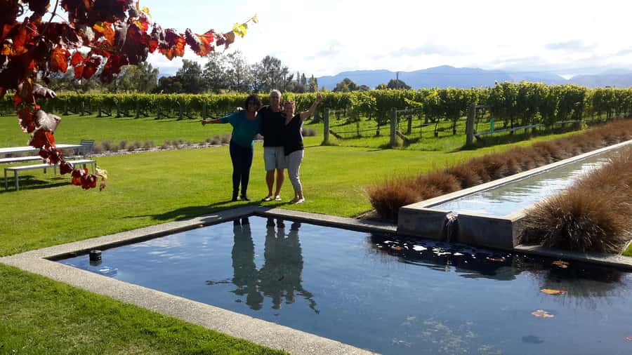 Marlborough Half-Day Wine Tour from Blenheim - Should You Book the Marlborough Half-Day Wine Tour from Blenheim?