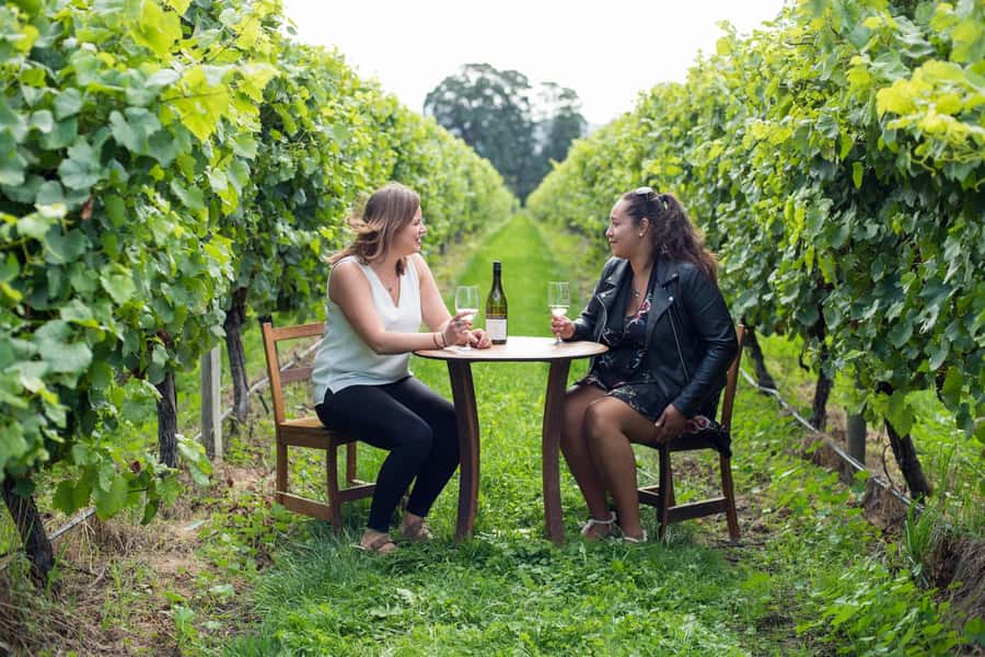 Marlborough Half Day Wine Tour From Picton 1pm - Key Things I’d Book It For
