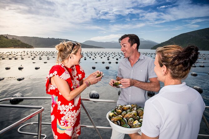 Marlborough Icons Tour - Wine tasting + Cruise - Lunch Between Land and Water: Refuel Without Losing the Day