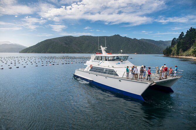 Marlborough Icons Tour - Wine tasting + Cruise - Onboard Wine Shopping: Taste Now, Decide Later