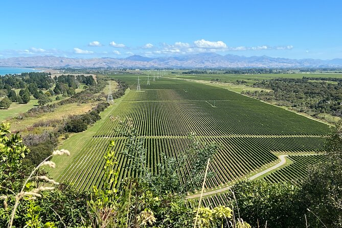 Marlborough Wine Region Tour from the Port of Picton - Port pickup, small vans, and why group size changes the whole experience