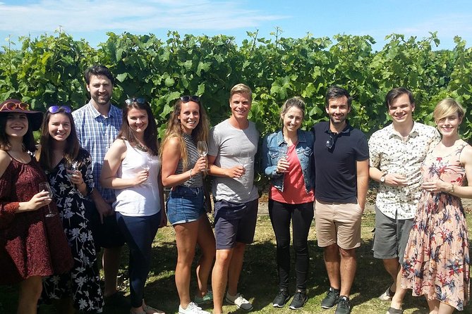 Marlborough Wine Tour - Afternoon of Cuisine & Wine 4hrs - Price and value: what $121.01 buys (and what it doesn’t)