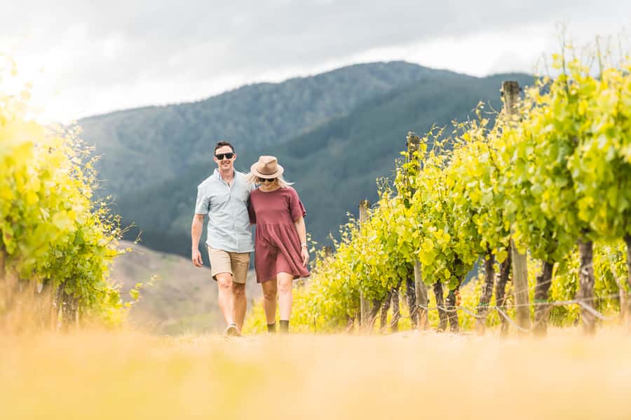 Marlborough: Wineries Visit and Tasting Session - Why Three Winery Stops Is the Sweet Spot