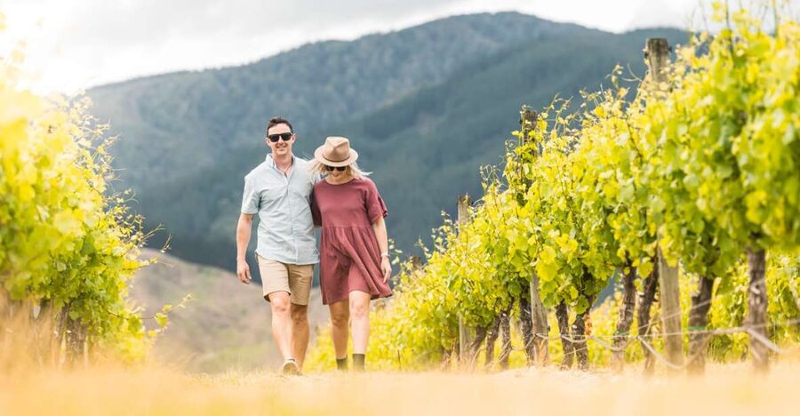 Marlborough: Wineries Visit and Tasting Session - What You’ll Learn While You Taste (From People Who Do This Daily)