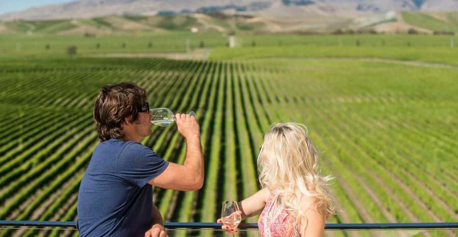 Marlborough: Wineries Visit and Tasting Session - Price and Value: What $104 Really Gets You