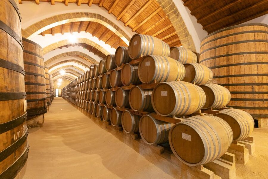 Marsala: Florio Winery Tour with Local Wine Tasting - Cantine Florio in Marsala: views first, wine second (in a good way)