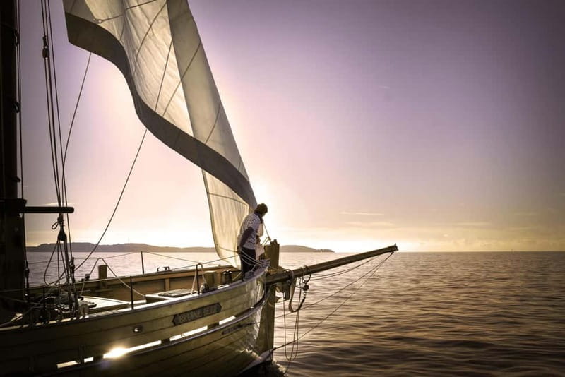 Marseille: Evening sailboat trip to the Calanques du Frioul with buffet and organic wine - Key takeaways before you go