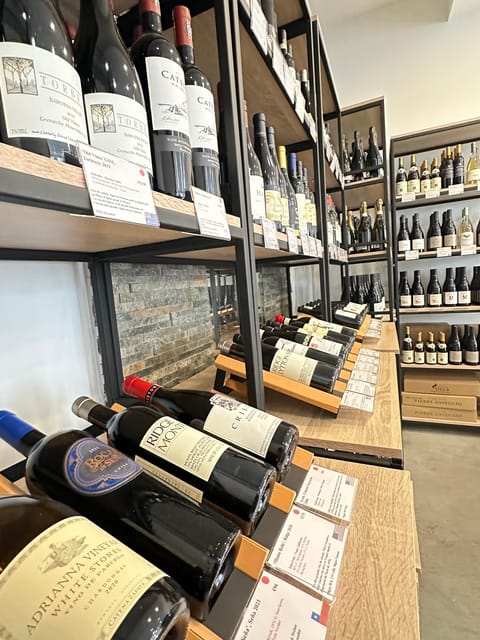 Marseille: Tailored Wine Tasting Experience in Top Wine Shop - Quick hits before you go
