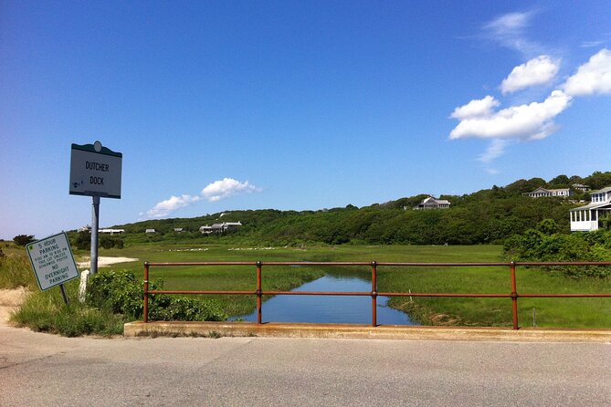 Martha's Vineyard Private Tours - Practical expectations: what you’ll see and what you might miss