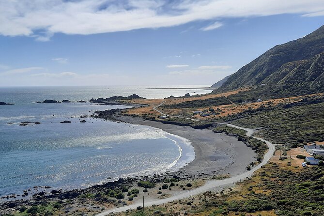 Martinborough Wine and Wild Coast Tour from Wellington - Leaving Wellington: How the 10-Hour Day Flows